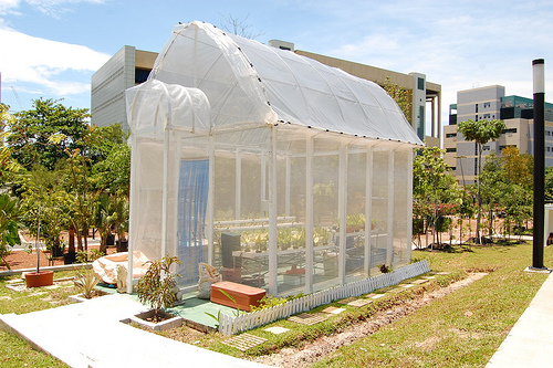 How To Build A Green House?DIY Guides